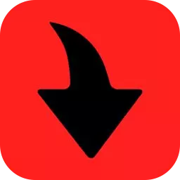 MP4 Downloader Pro v6.4.28 Full İndir - Türkçe